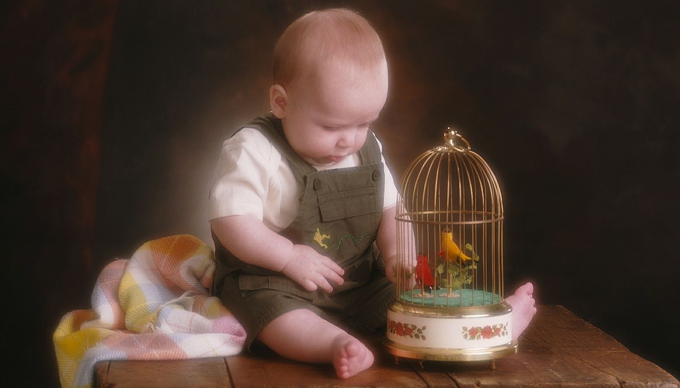 Baby Portrait Photographer - Gail Nogle Photography